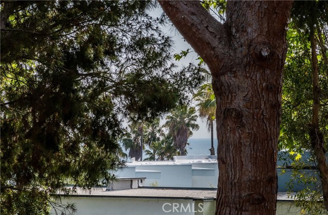 Enjoy the ocean, sailboat & tree views from the oversized balcony