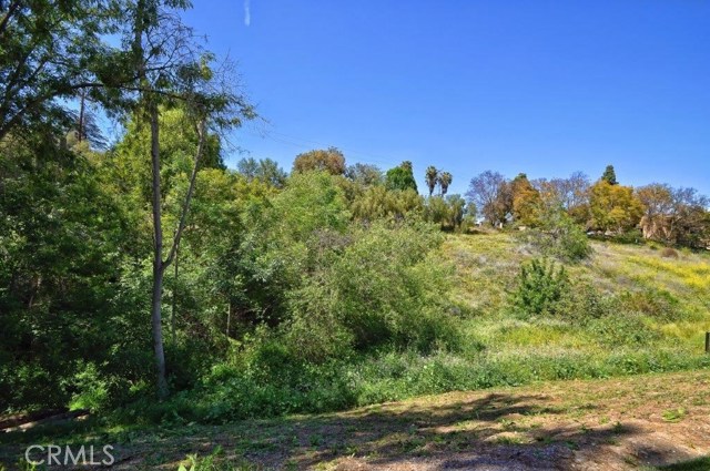 12 Casaba Road, Rolling Hills Estates, California 90274, 5 Bedrooms Bedrooms, ,4 BathroomsBathrooms,Residential,Sold,Casaba,PV18242609