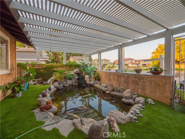 Specially made Koi pond with some Koi that are over 45 years old!!