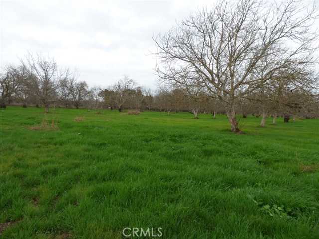 45, 95932, ,Land,For Sale,45,SN18008430