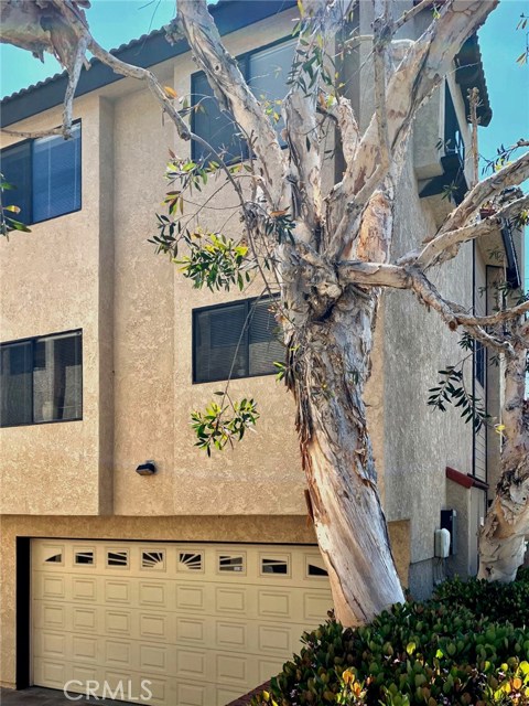 Rear of the unit. Nicely maintained and landscaped. Great location.