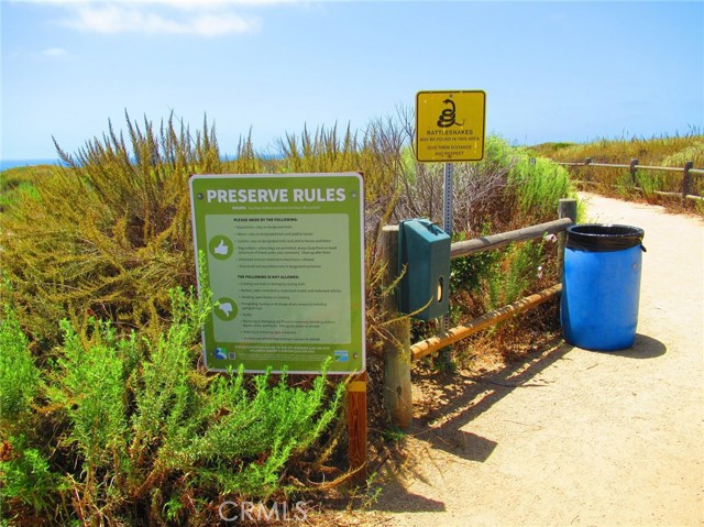 Walk down with your Starbucks coffee and enjoy the walking trail with the Pacific Ocean on one side and multi million dollar homes on the other side of this Protected Vincente Bluffs Nature Reserve.