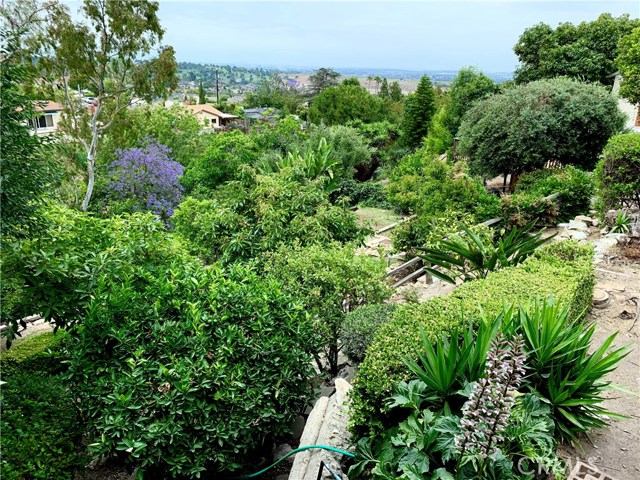 Backyard is terraced and has over 20 mature fruit trees. Fully fenced and irrigated with automatic sprinklers and a drip line system.