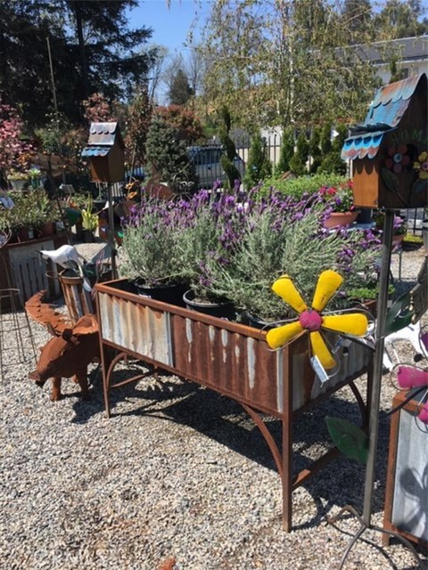 Golden Oak, 93644, ,Commercial,For Sale,Golden Oak,FR20186354