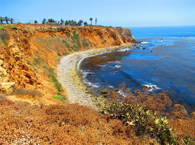 Walk to Ocean Bluffs with Point Vincente Lighthouse in the Background.