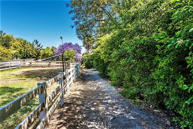 This is the horse trail behind the house.