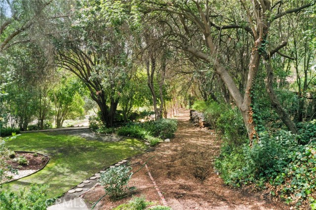 Steps away from the pool deck, you will find your first landing....lush landscaping and you'll get what I say about Wilderness wonderland....incredible!