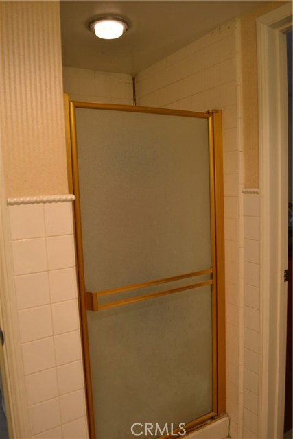 Walk-in shower of ground floor bath.