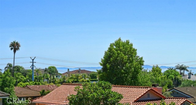 Ocean and Catalina View