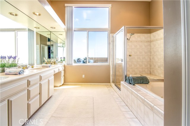 Large master bathroom with a view.