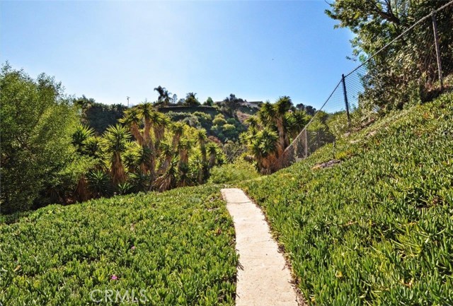 Pathway going towards the back overlooking the canyon.