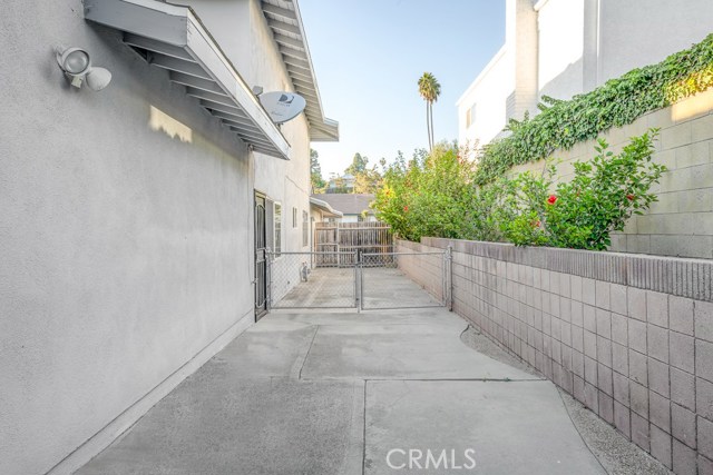 Large, wide side yard that can be used as a dog run or children's play area.