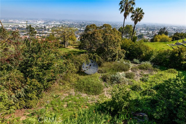 Undeveloped Land Below Pool Area