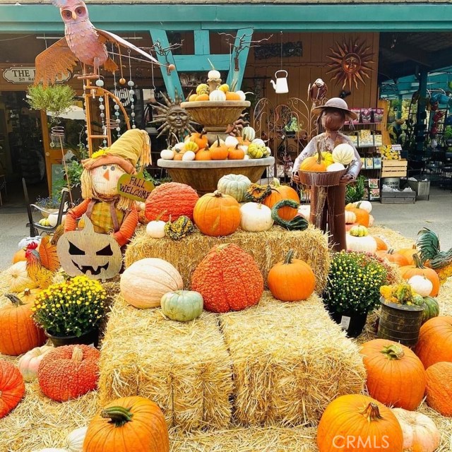 Golden Oak, 93644, ,Commercial,For Sale,Golden Oak,FR20186354