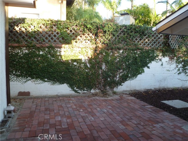 Patio off Family Room and Dining Room