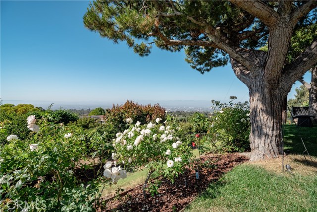 Panoramic ocean, mountain and city views