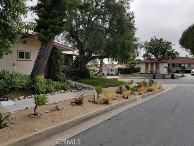 Drought resistant succulent landscaping,