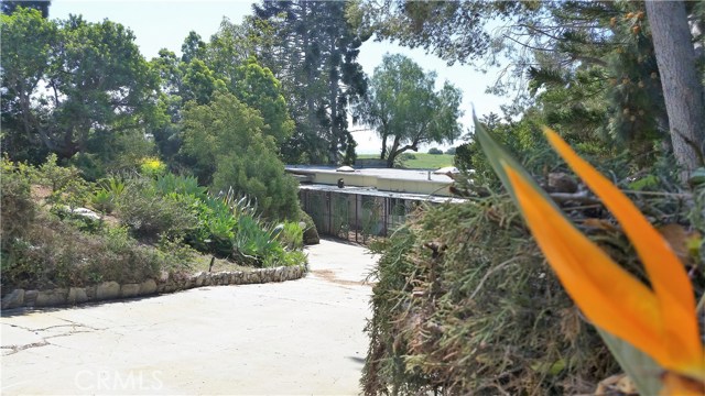 Entrance overlooks pastoral 30 acres & Catalina Ocean View