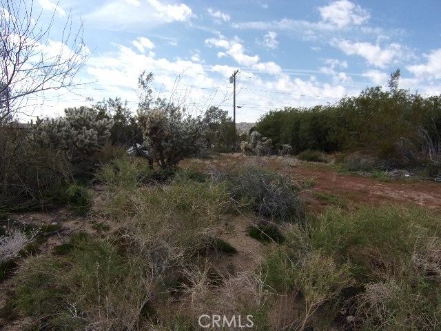 Desert Air Road Joshua Tree, CA, 92252 | Beautiful Photos Desert Air Road