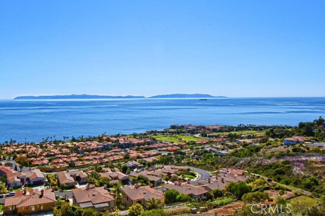 Catalina View