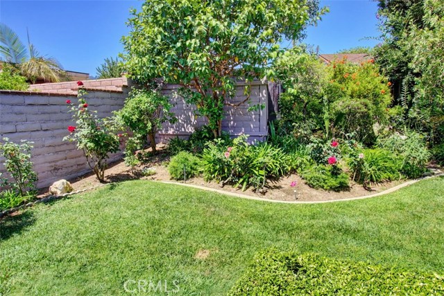 Beautiful backyard landscape
