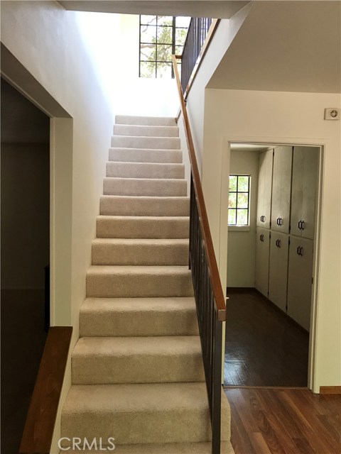 Stairs with new carpet, adjacent to laundry room off of dining room