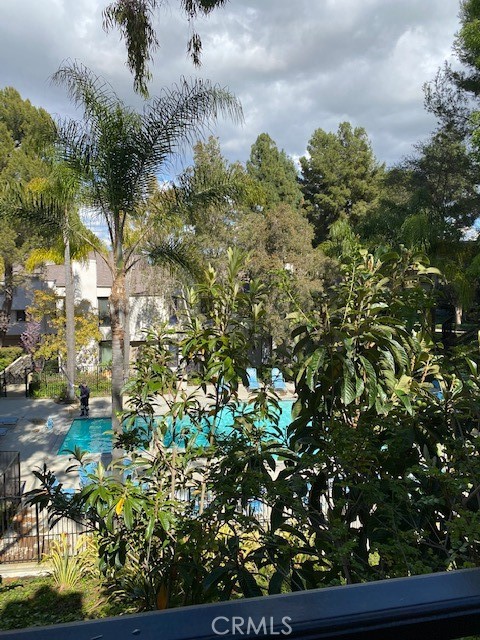 View from the patio