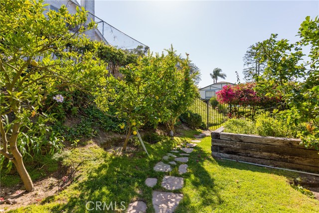 Garden beds and mature fruit trees.