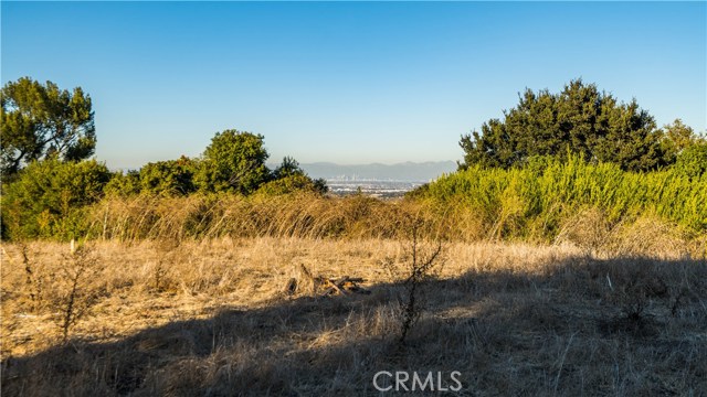 8 Middleridge Lane, Rolling Hills, California 90274, 5 Bedrooms Bedrooms, ,7 BathroomsBathrooms,Residential,Sold,Middleridge,PV20012648