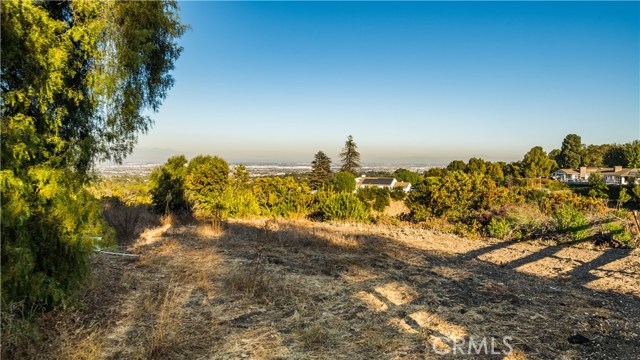 8 Middleridge Lane, Rolling Hills, California 90274, 5 Bedrooms Bedrooms, ,7 BathroomsBathrooms,Residential,Sold,Middleridge,PV20012648