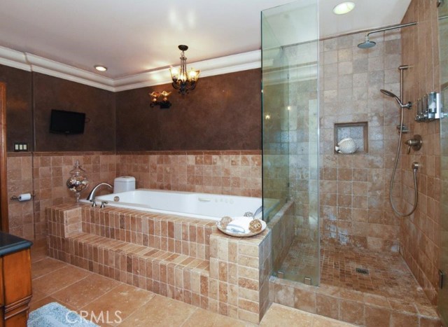 Master Bathroom Tub & Shower