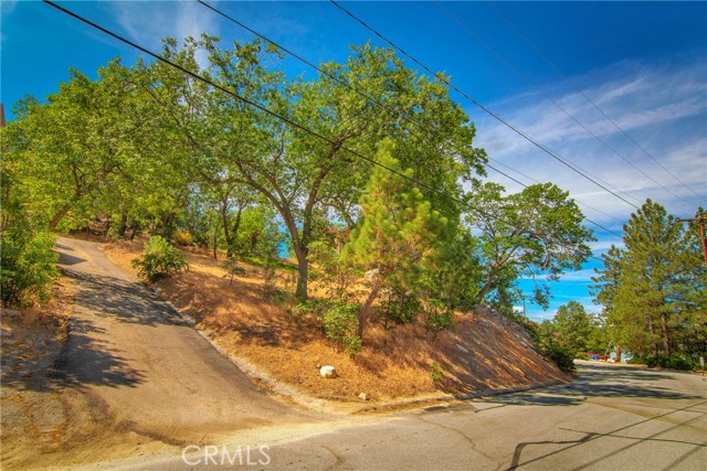 1393 Sequoia Drive
