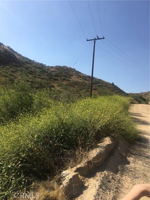 El Toro