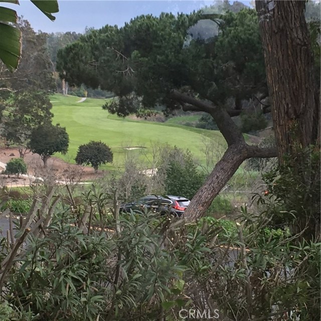 PV Golf Course view from interior of home