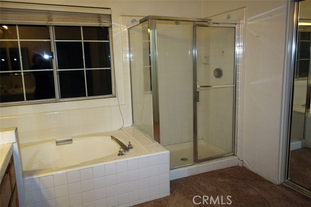 Master bath - separate tub and shower