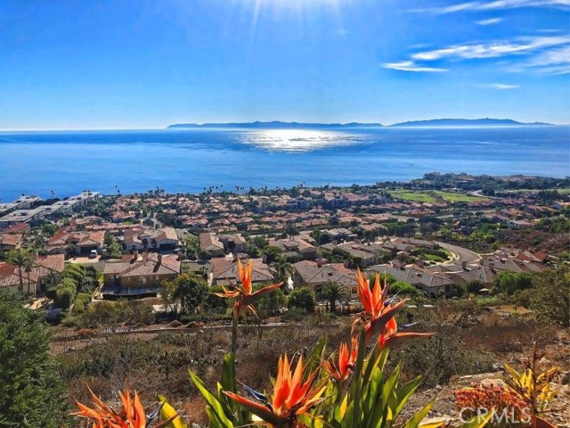 Overlooking Terranea Resort