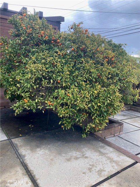 820 Knob Hill Avenue, Redondo Beach, California 90277, 3 Bedrooms Bedrooms, ,1 BathroomBathrooms,Residential,Sold,Knob Hill,SB21051918