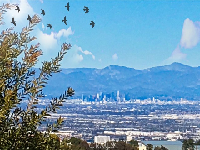 Mountain & City View from Back Yard, Decking and Rooms in Condo