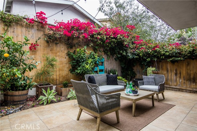 Backyard area landscaped with citrus tree and succulents throughout