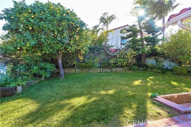 The lushly landscaped rear yard is private, with it's mature fruit trees, a lush lawn and bricked deck is great for family BBQ's, entertaining or a fantastic play area for the kids.