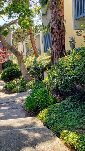 Walkway to 826 Camino Real.