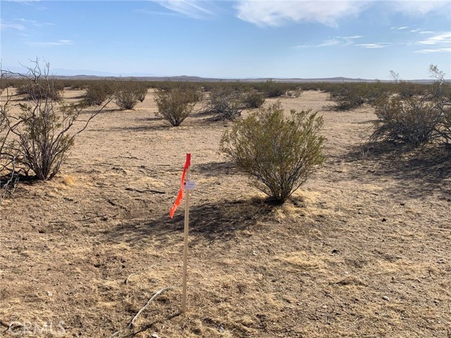  Land for Sale in California City, California
