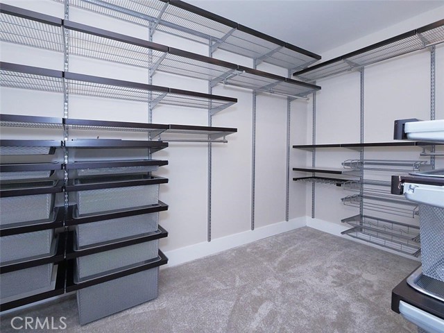 Walk-in Closet in Master Suite