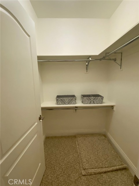 Second Bedroom Walk In Closet with New Carpet. Includes Shelving and Clothes racks.