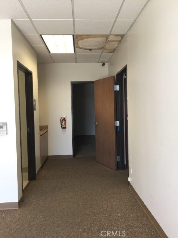 Spruce, ,Commercial,For Sale,Spruce,5,PW20166369