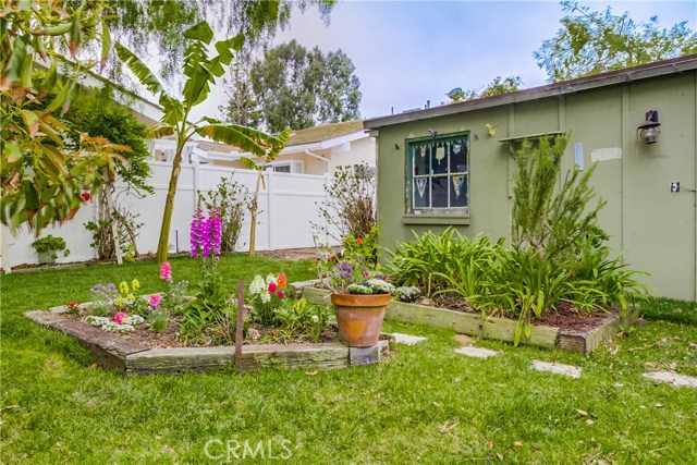 Garden on Side Yard