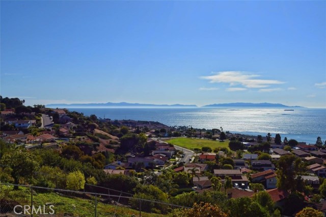 View from Backyard