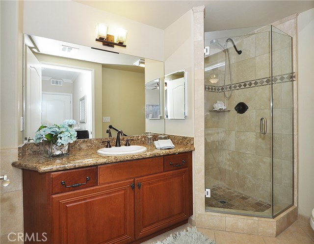 Master bedroom shower and vanity