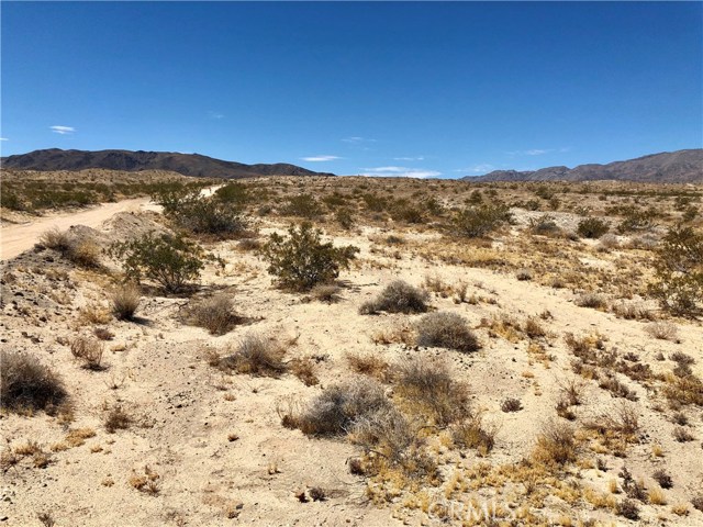 789 Twentynine Palms