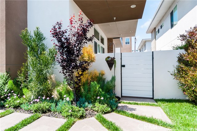 Beautiful landscaping in backyard